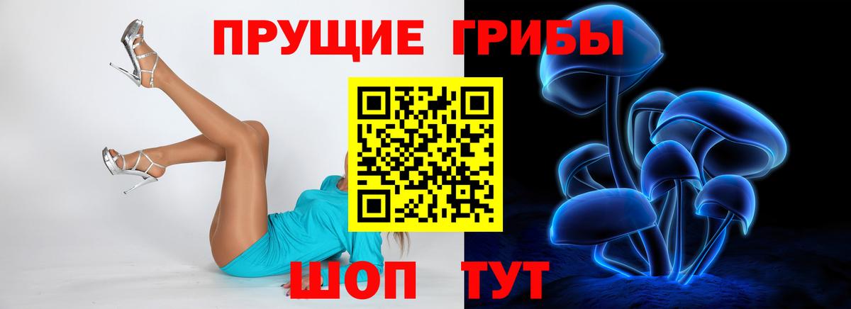 Псилоцибиновые грибы прущие грибы  Псилоцибиновые грибы Cubensis  Алапаевск  Вход с VPN 
